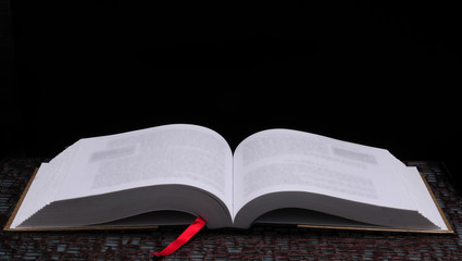 许冬子作词的歌曲有哪些歌