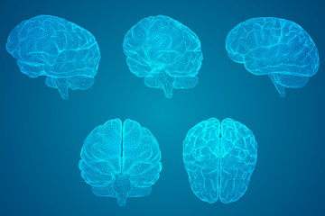 传媒十大龙头股都有哪些？