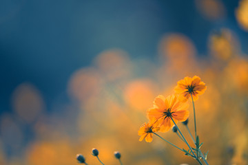 土地预审办完后下一步流程