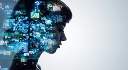 土地预审办完后下一步流程