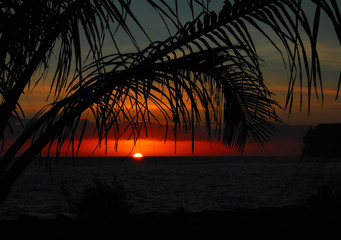 A股严重被低估的票有哪些？