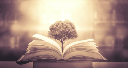 微信登录王者荣耀被纳入防沉迷怎么解除-