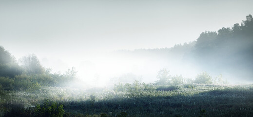 雨打梨花深闭门 千树万树梨花开