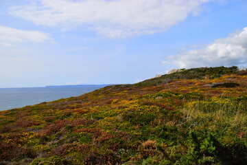 小米note和小米notepro的区别