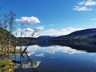 微信登录王者荣耀被纳入防沉迷怎么解除-