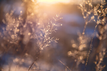 唯品会客服电话