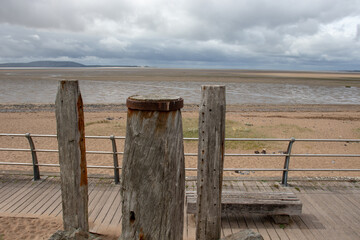 我像个孤独患者自我拉扯是什么歌