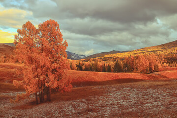 微信登录王者荣耀被纳入防沉迷怎么解除-
