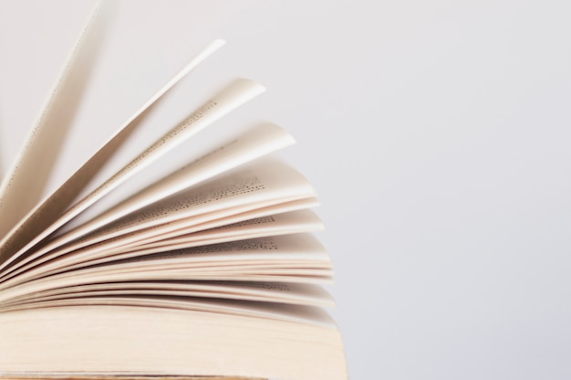 土地预审办完后下一步流程