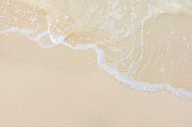 中国人民解放军三十八位现役上将名单有哪些？