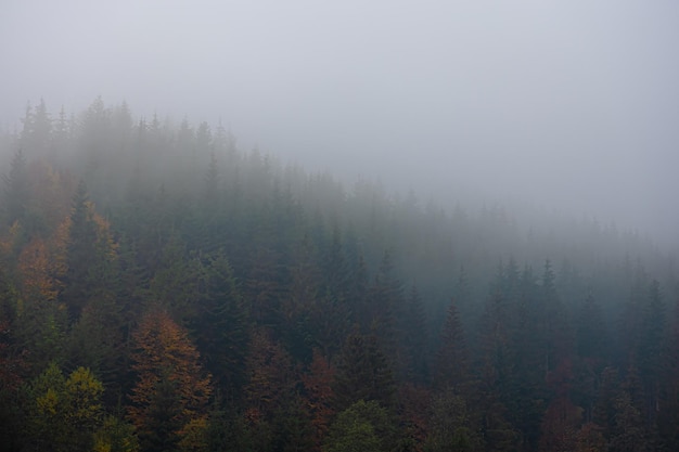 我像个孤独患者自我拉扯是什么歌