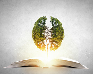 为什么叫动漫4大人渣