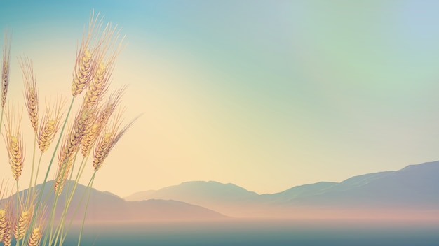 传媒十大龙头股都有哪些？