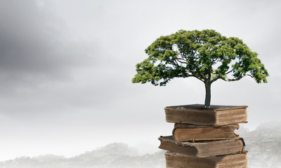 中国人民解放军三十八位现役上将名单有哪些？